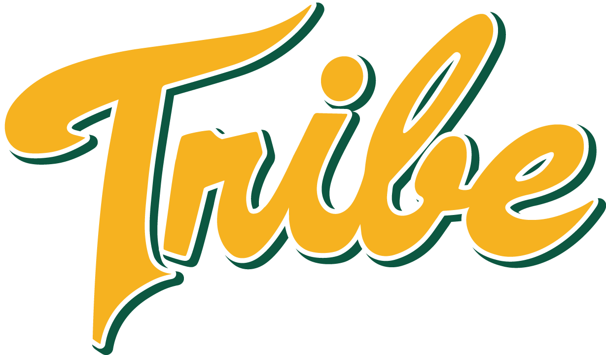William and Mary Tribe 2016-Pres Alternate Logo t shirts iron on transfers